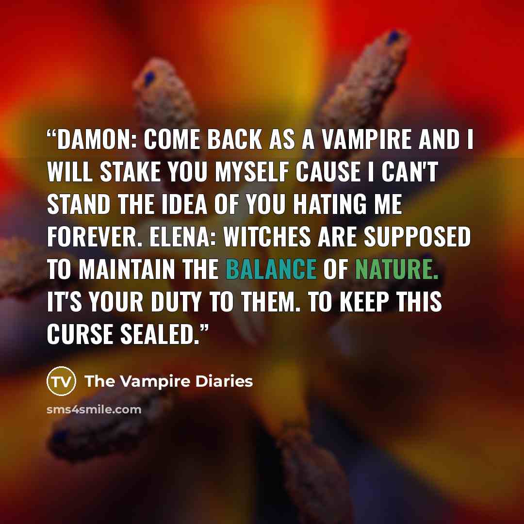 “Damon: Come back as a vampire and I will stake you myself cause I can't stand the idea of you hating me forever. Elena: Witches are supposed to maintain the balance of nature. It's your duty to them. To keep this curse sealed.” quote by The Vampire Diaries