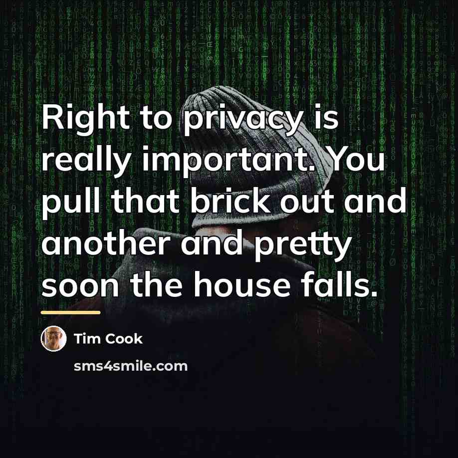 “Right to privacy is really important. You pull that brick…” quote by Tim Cook