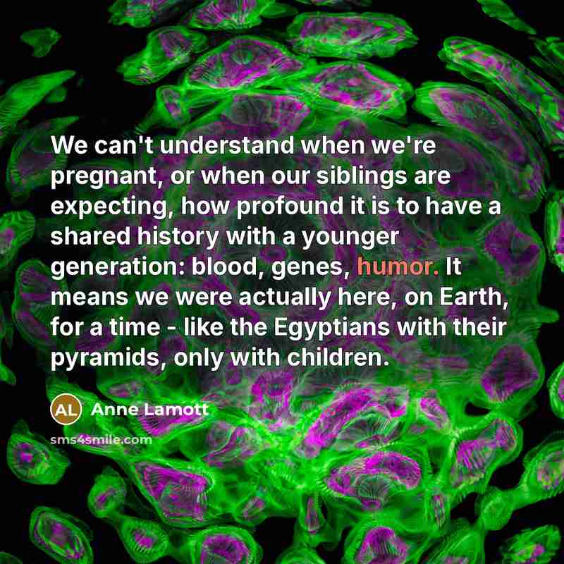 “We can't understand when we're pregnant, or when our siblings…” quote by Anne Lamott