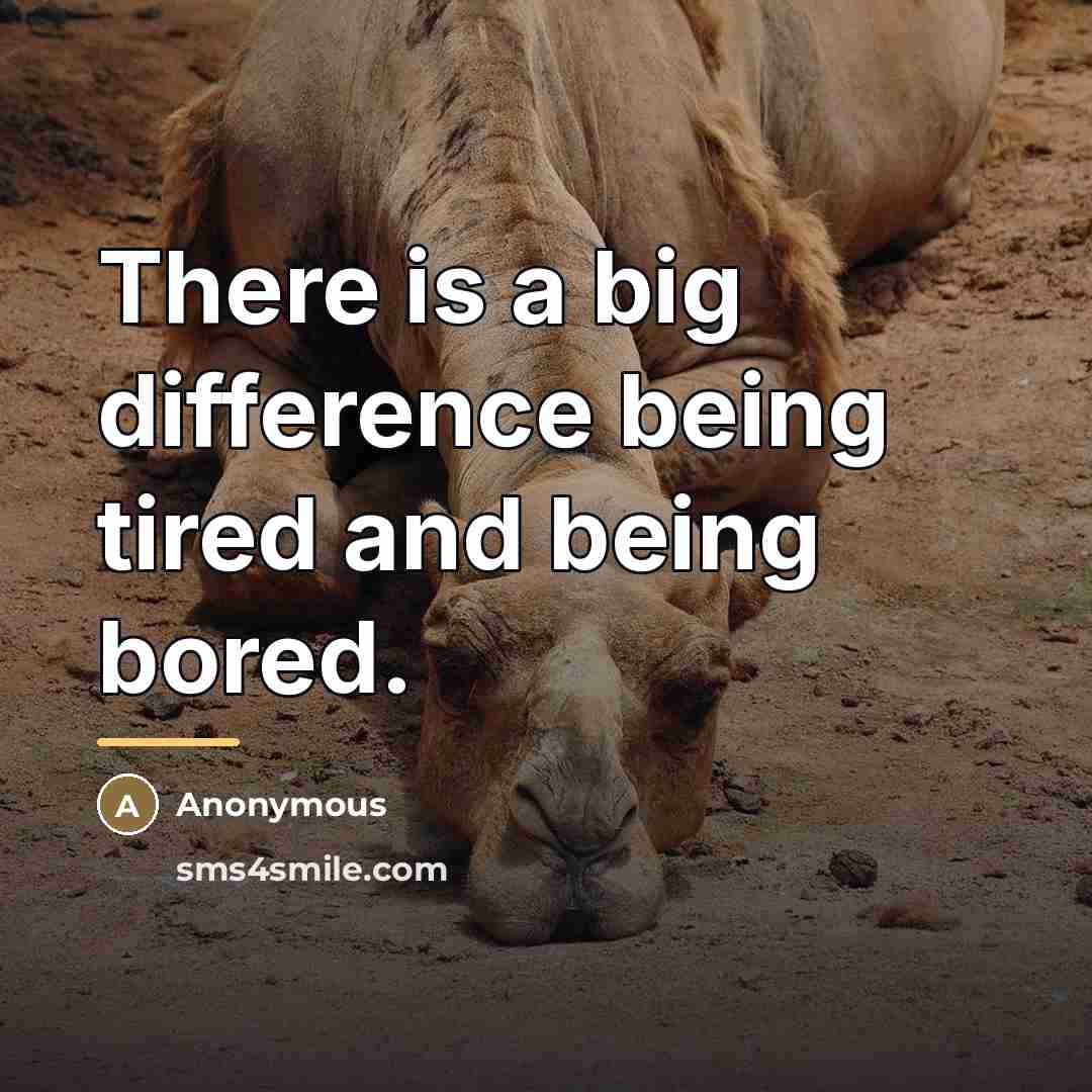 “There is a big difference being tired and being bored.…” quote by Anonymous