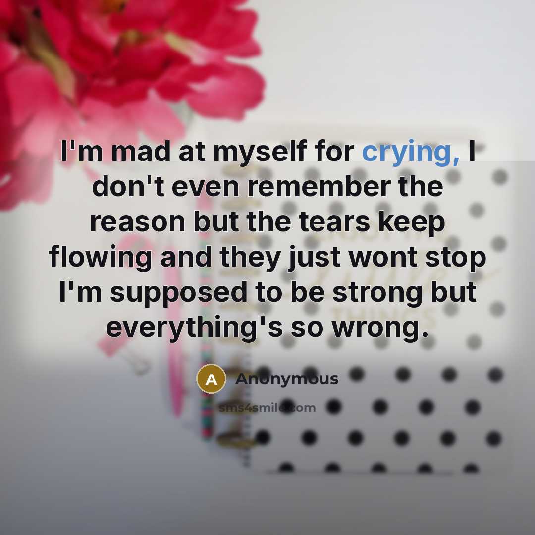 “I'm mad at myself for crying, I don't even remember…” quote by Anonymous