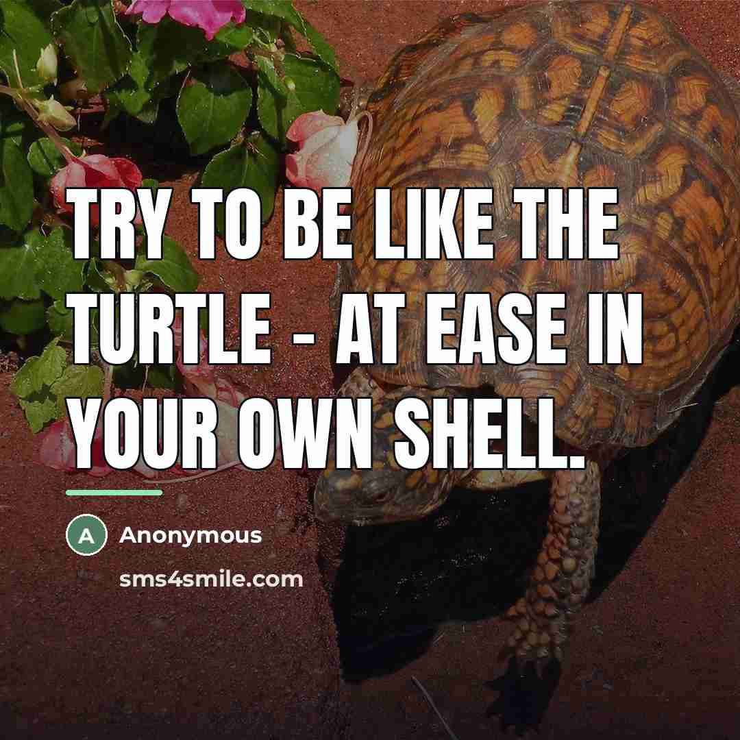 “Try to be like the turtle - at ease in…” quote by Anonymous