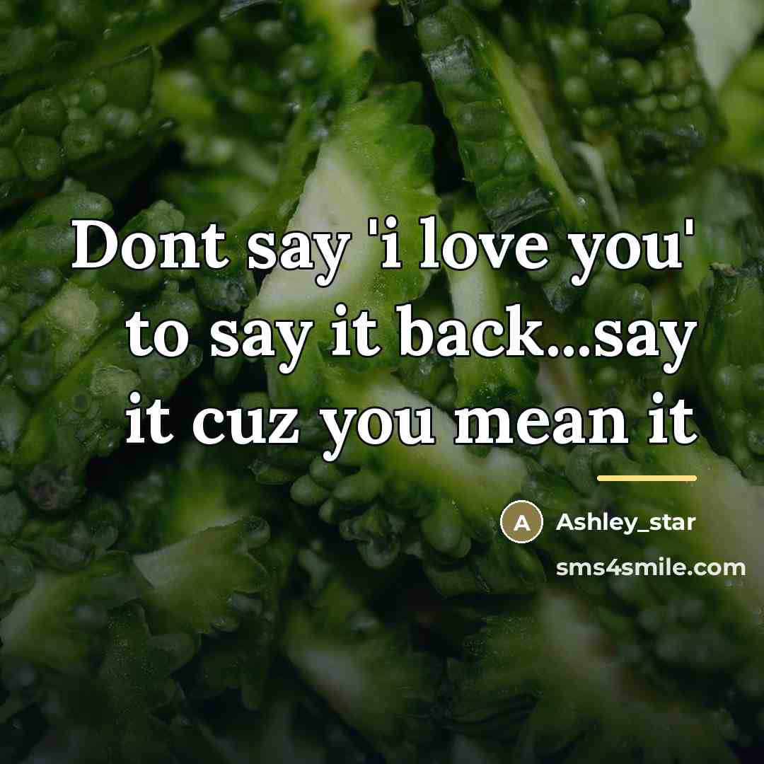 “Dont say 'i love you' to say it back...say it…” quote by Ashley_star
