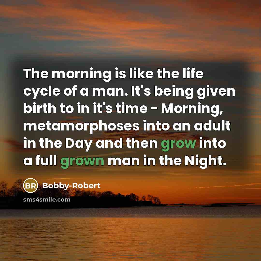 “The morning is like the life cycle of a man. It's being given birth to in it's time - Morning, metamorphoses into an adult in the Day and then grow into a full grown man in the Night.” quote by Bobby-Robert