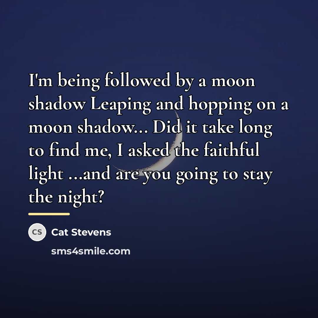 “I'm being followed by a moon shadow Leaping and hopping…” quote by Cat Stevens