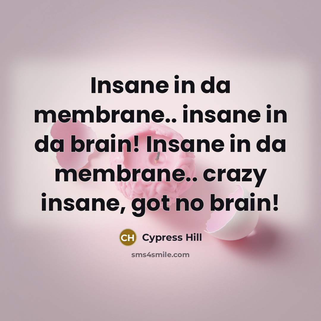 “Insane in da membrane.. insane in da brain! Insane in…” quote by Cypress Hill