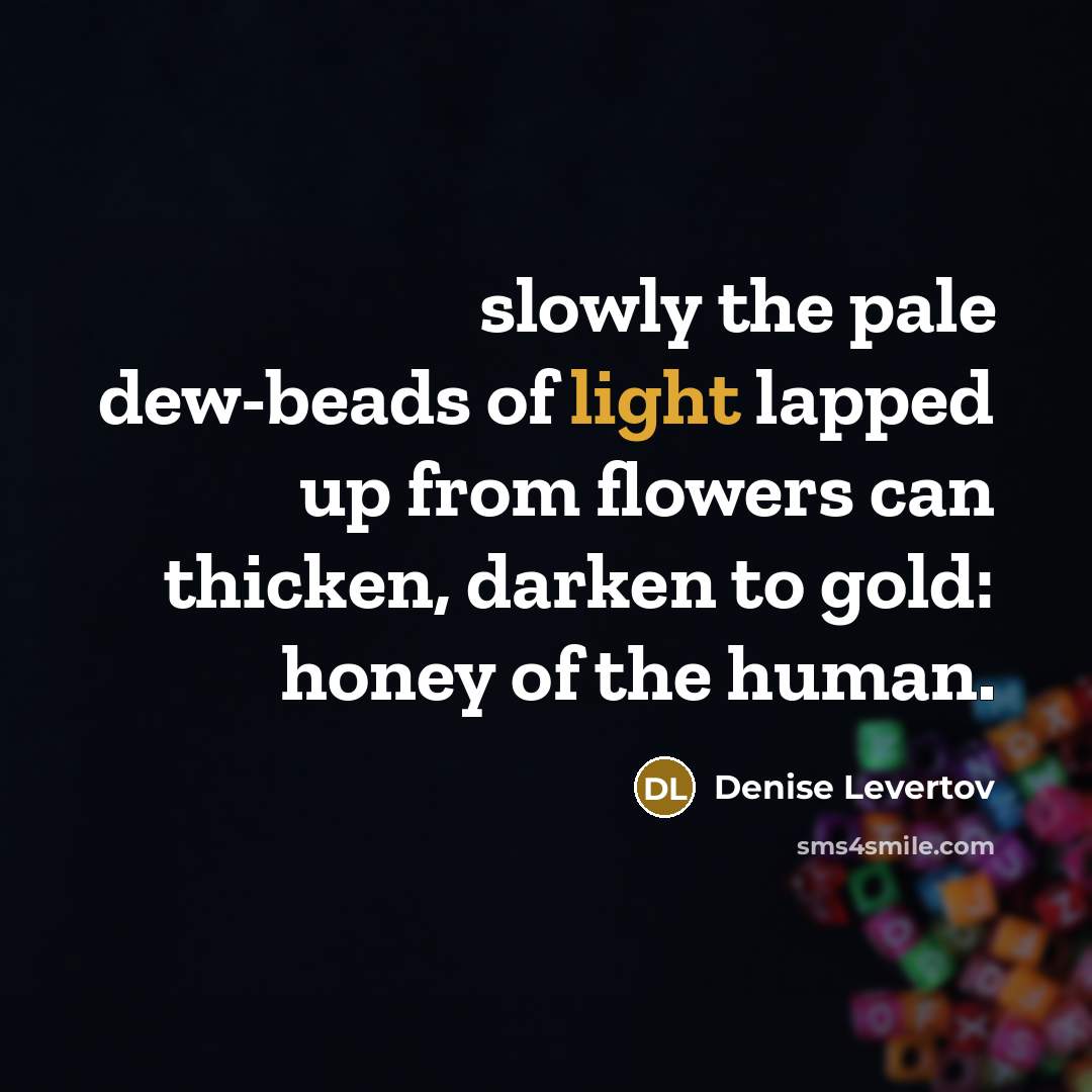 “slowly the pale dew-beads of light lapped up from flowers…” quote by Denise Levertov
