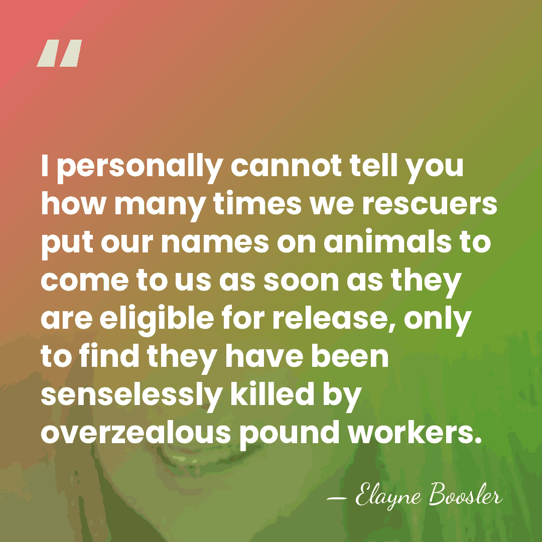 I personally cannot tell you how many times we rescuers put our&hellip; - Elayne Boosler