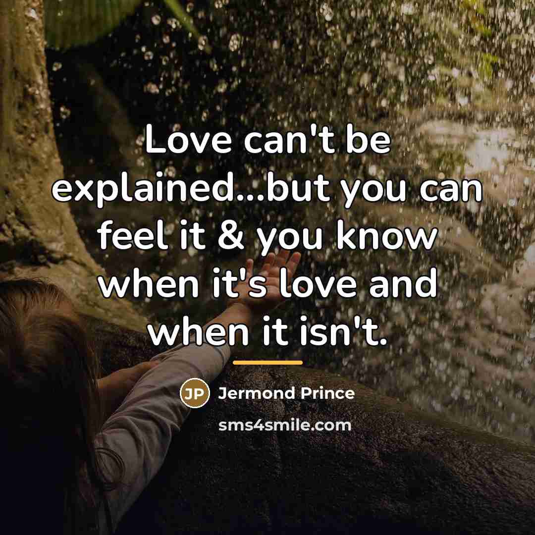 “Love can't be explained...but you can feel it & you…” quote by Jermond Prince