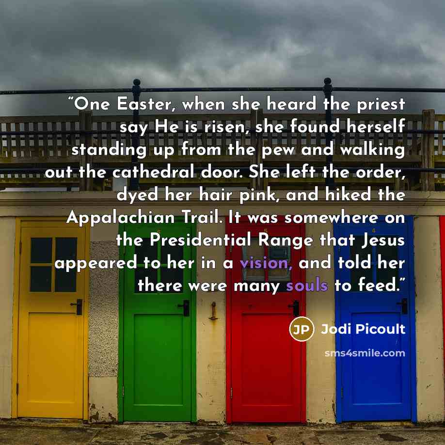 “One Easter, when she heard the priest say He is risen, she found herself standing up from the pew and walking out the cathedral door. She left the order, dyed her hair pink, and hiked the Appalachian Trail. It was somewhere on the Presidential Range that Jesus appeared to her in a vision, and told…” quote by Jodi Picoult