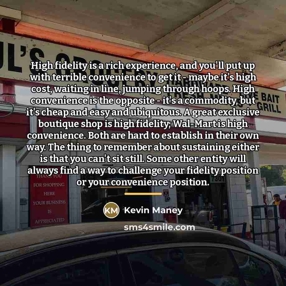“High fidelity is a rich experience, and you'll put up…” quote by Kevin Maney