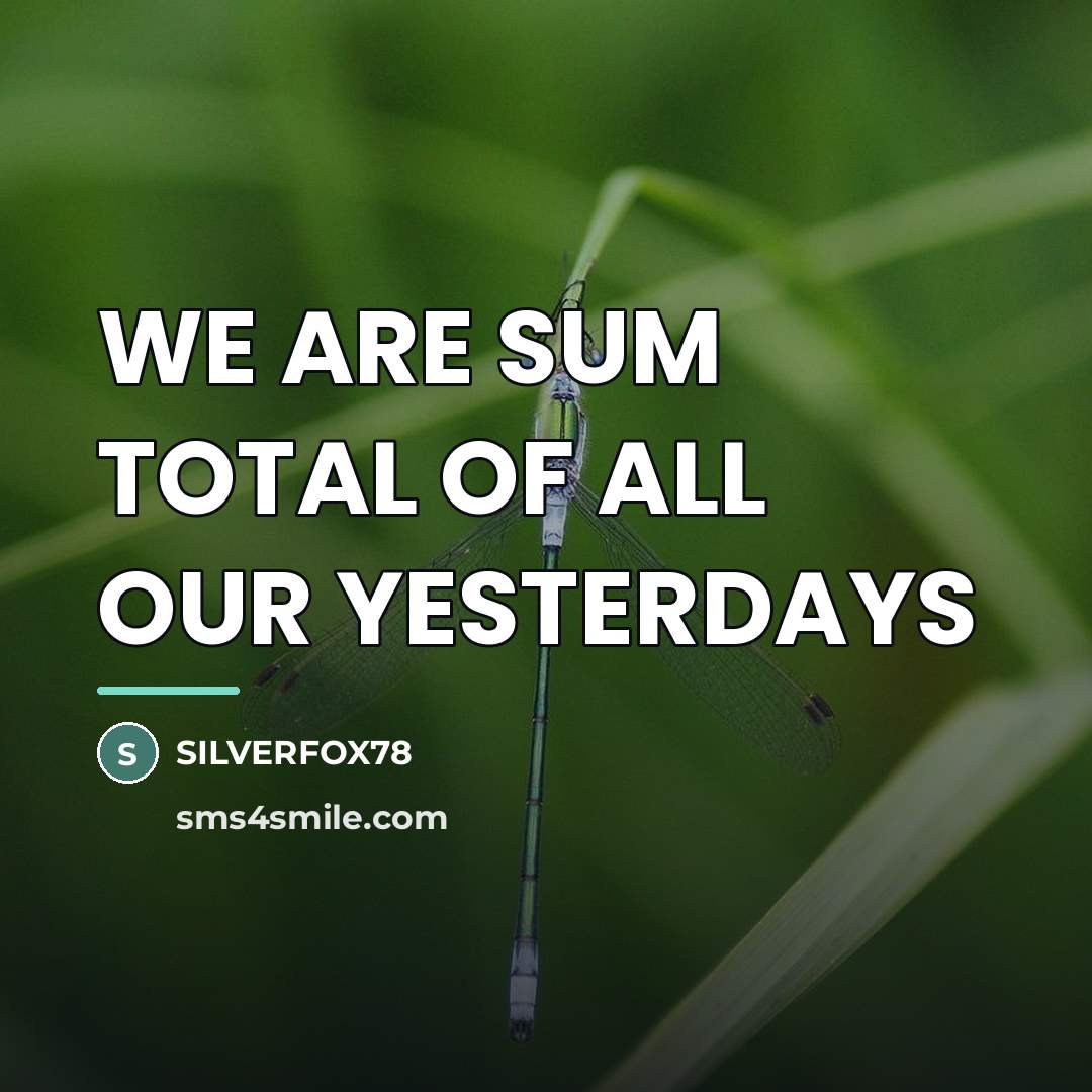 “WE ARE SUM TOTAL OF ALL OUR YESTERDAYS…” quote by Silverfox78