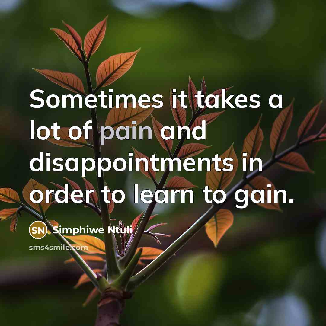“Sometimes it takes a lot of pain and disappointments in…” quote by Simphiwe Ntuli