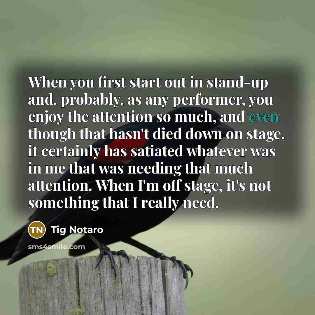 “When you first start out in stand-up and, probably, as…” quote by Tig Notaro