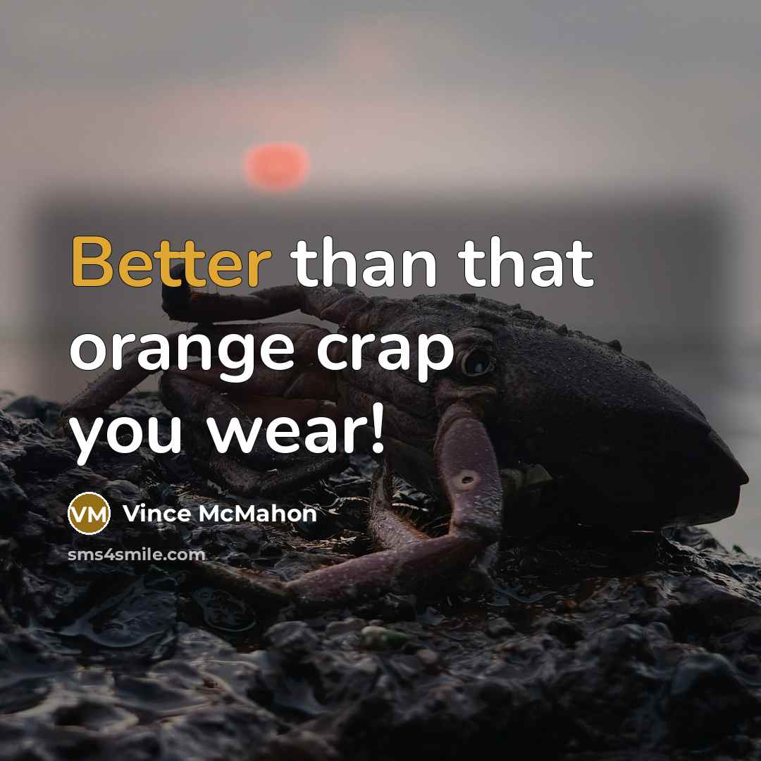 “Better than that orange crap you wear!” quote by Vince McMahon