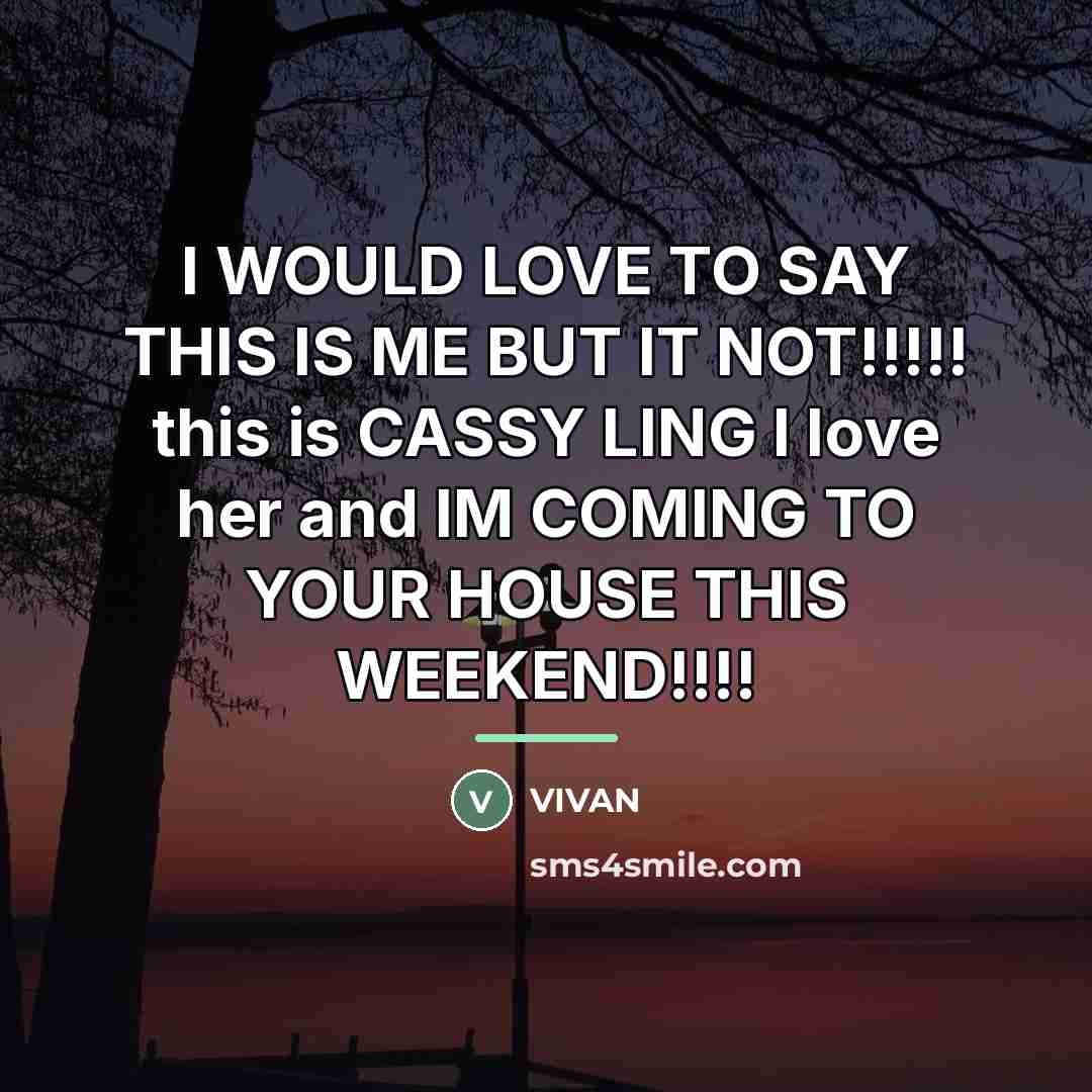 “I WOULD LOVE TO SAY THIS IS ME BUT IT…” quote by VIVAN