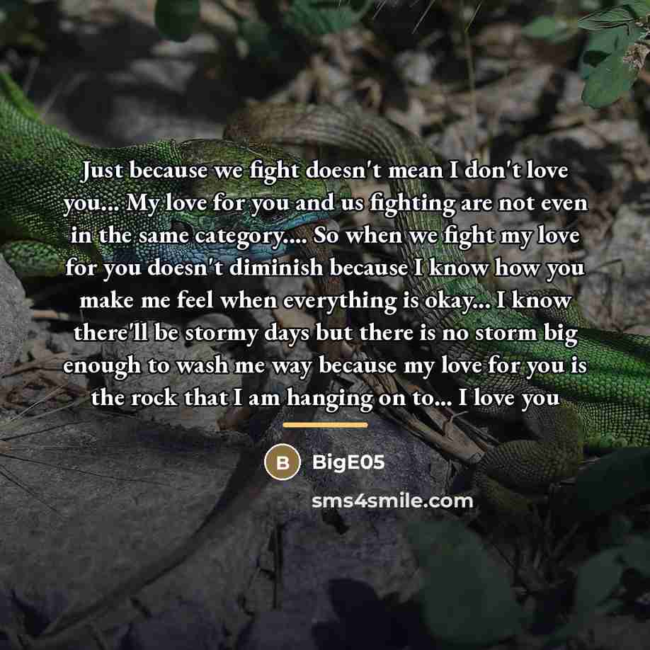 “Just because we fight doesn't mean I don't love you...…” quote by BigE05