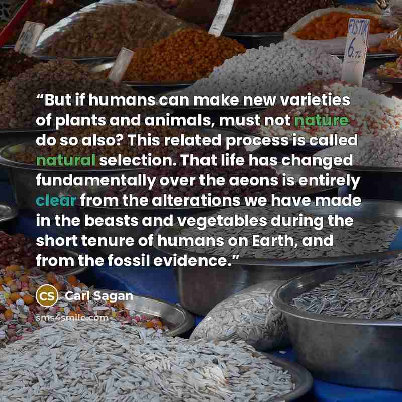 “But if humans can make new varieties of plants and animals, must not nature do so also? This related process is called natural selection. That life has changed fundamentally over the aeons is entirely clear from the alterations we have made in the beasts and vegetables during the short tenure of…” quote by Carl Sagan