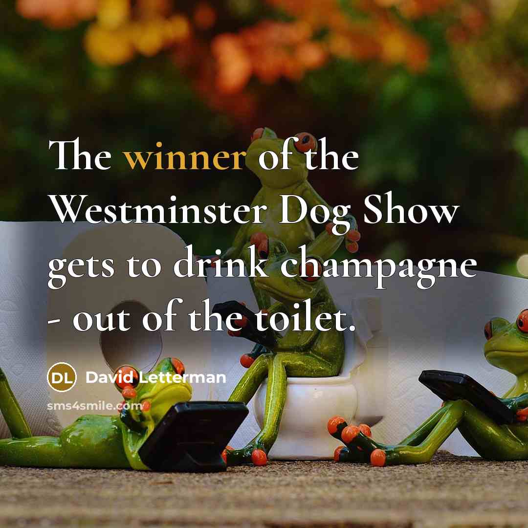 “The winner of the Westminster Dog Show gets to drink…” quote by David Letterman