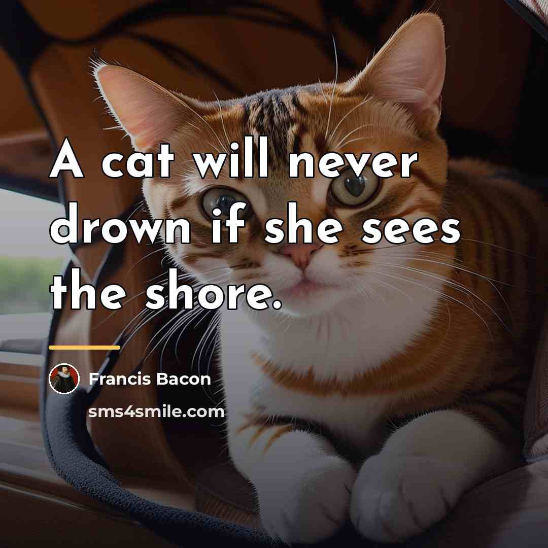 “A cat will never drown if she sees the shore.…” quote by Francis Bacon