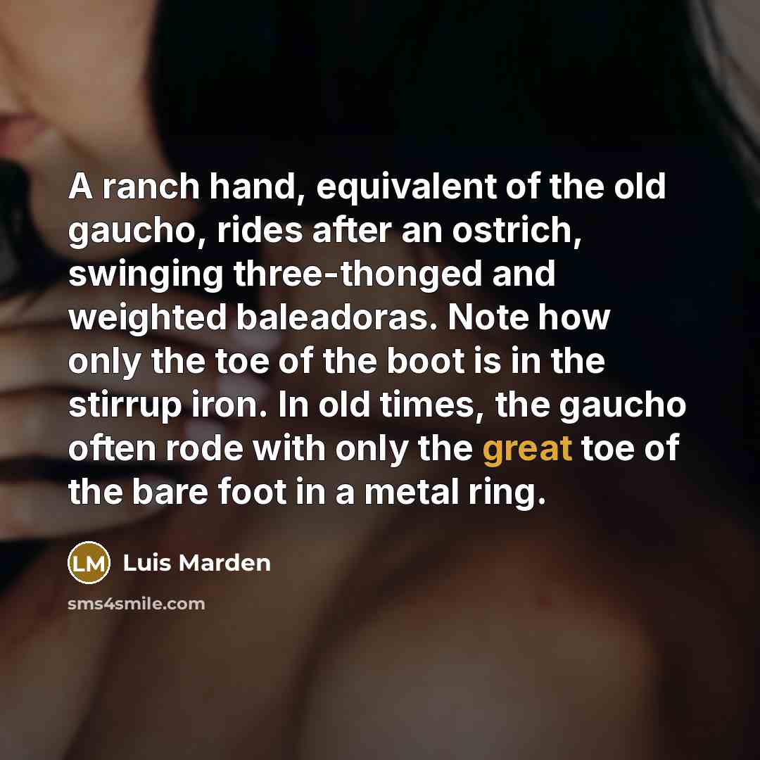 “A ranch hand, equivalent of the old gaucho, rides after…” quote by Luis Marden
