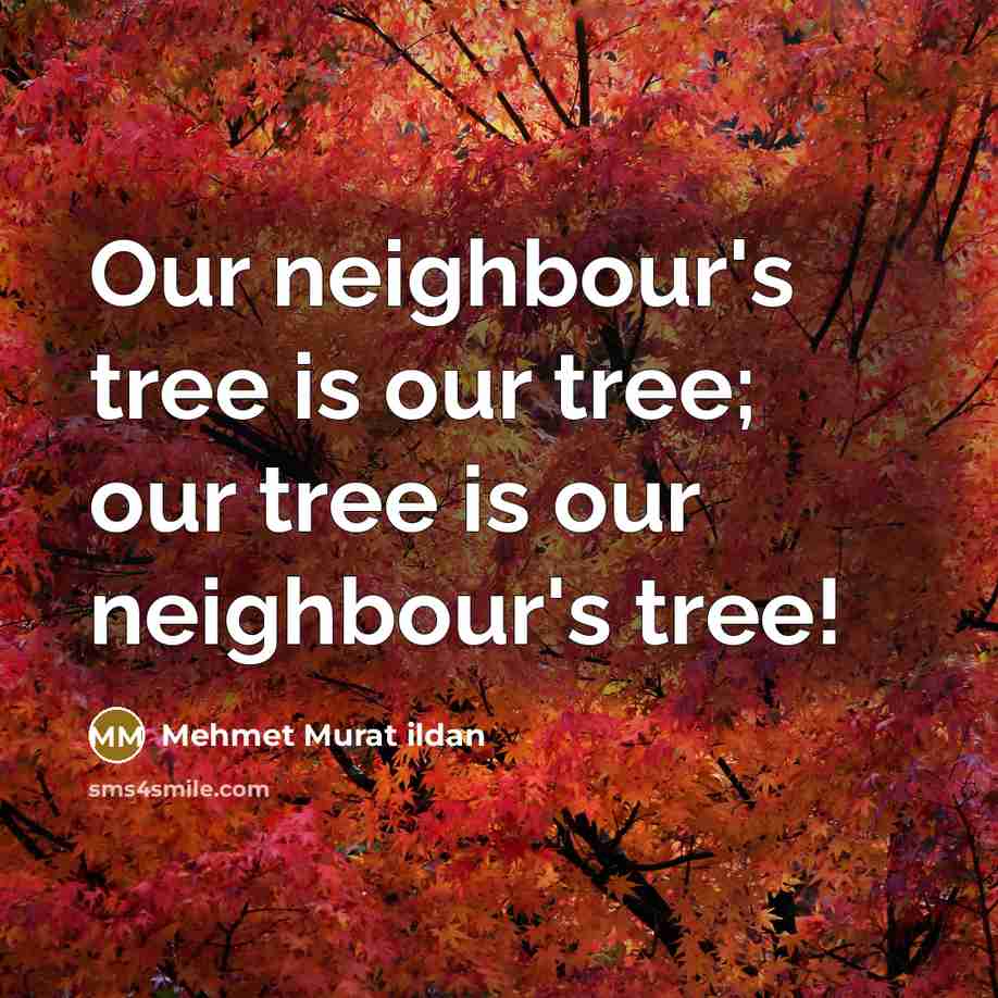 “Our neighbour's tree is our tree; our tree is our…” quote by Mehmet Murat Ildan