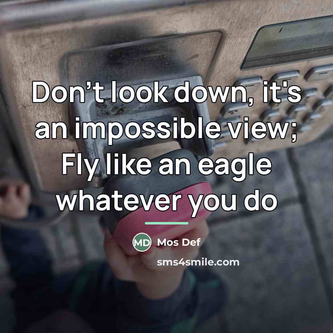“Don't look down, it's an impossible view; Fly like an…” quote by Mos Def