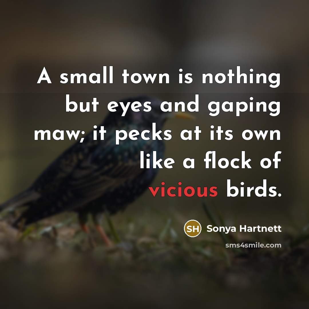 “A small town is nothing but eyes and gaping maw;…” quote by Sonya Hartnett
