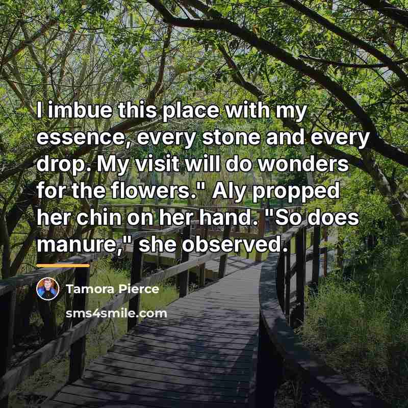 “I imbue this place with my essence, every stone and…” quote by Tamora Pierce