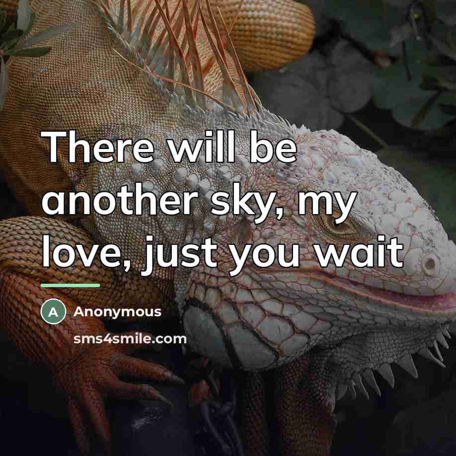 “There will be another sky, my love, just you wait…” quote by Anonymous