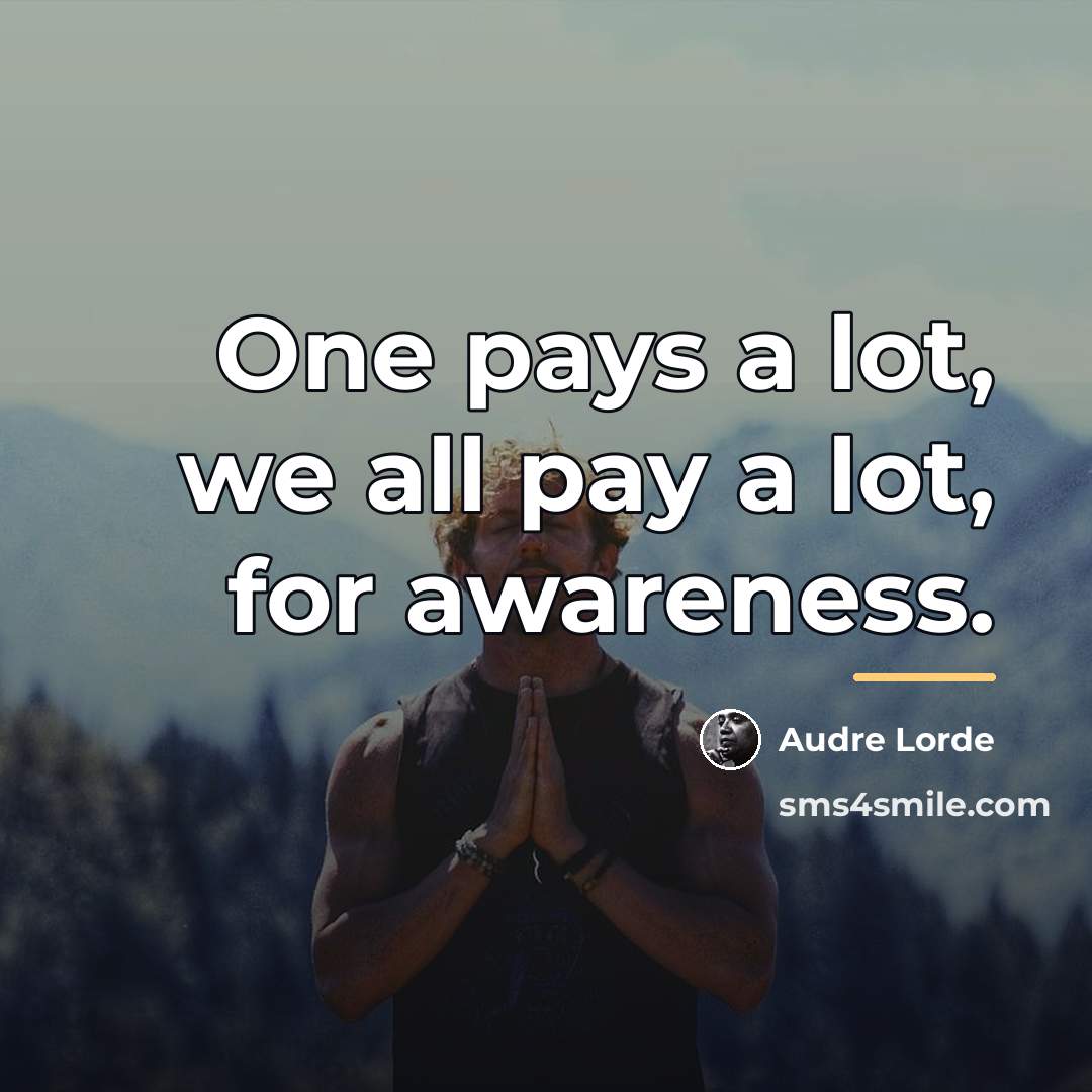 “One pays a lot, we all pay a lot, for…” quote by Audre Lorde