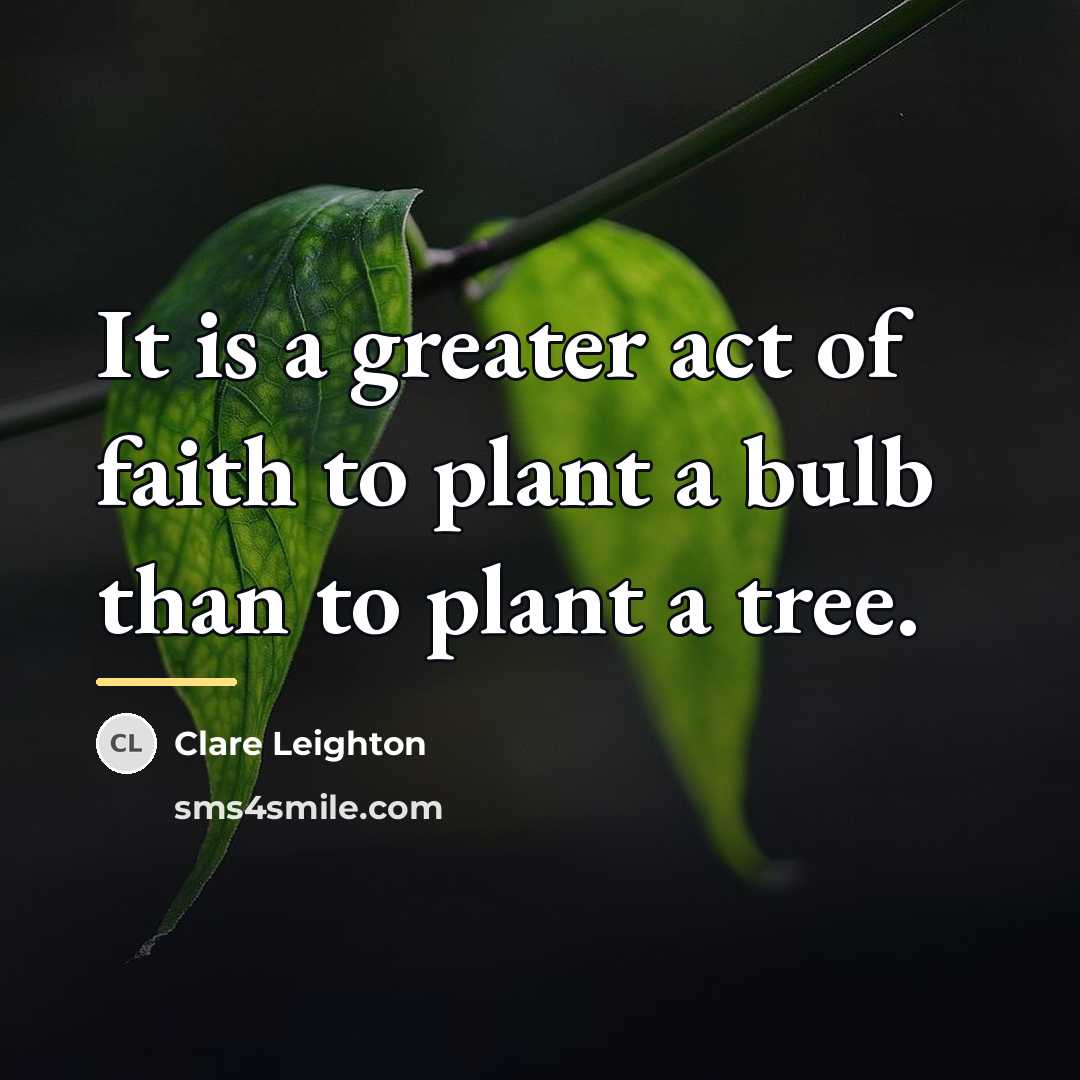 “It is a greater act of faith to plant a…” quote by Clare Leighton
