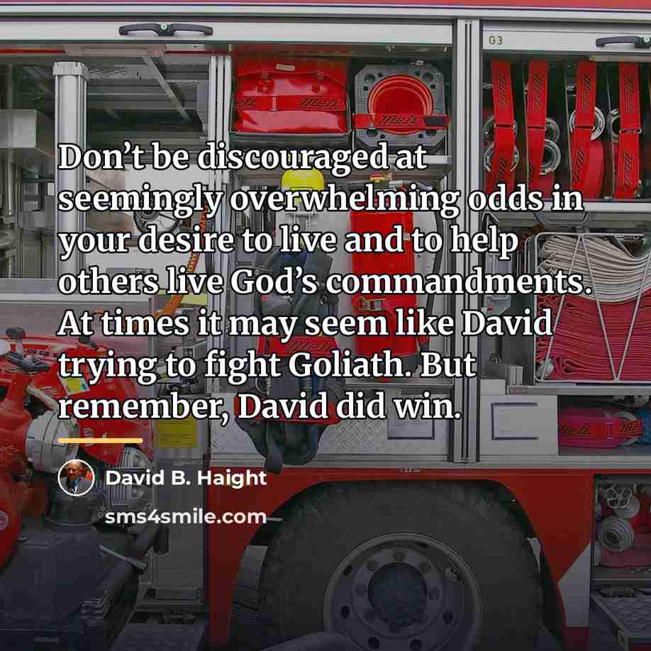 “Don’t be discouraged at seemingly overwhelming odds in your desire…” quote by David B. Haight