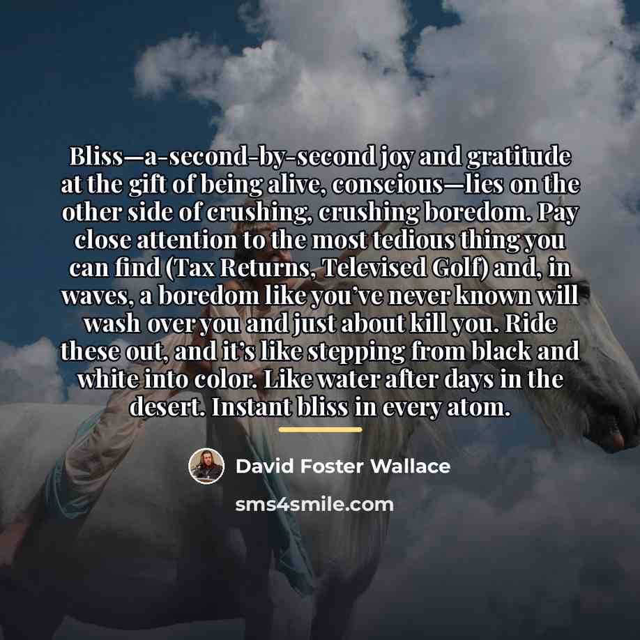 “Bliss—a-second-by-second joy and gratitude at the gift of being alive,…” quote by David Foster Wallace