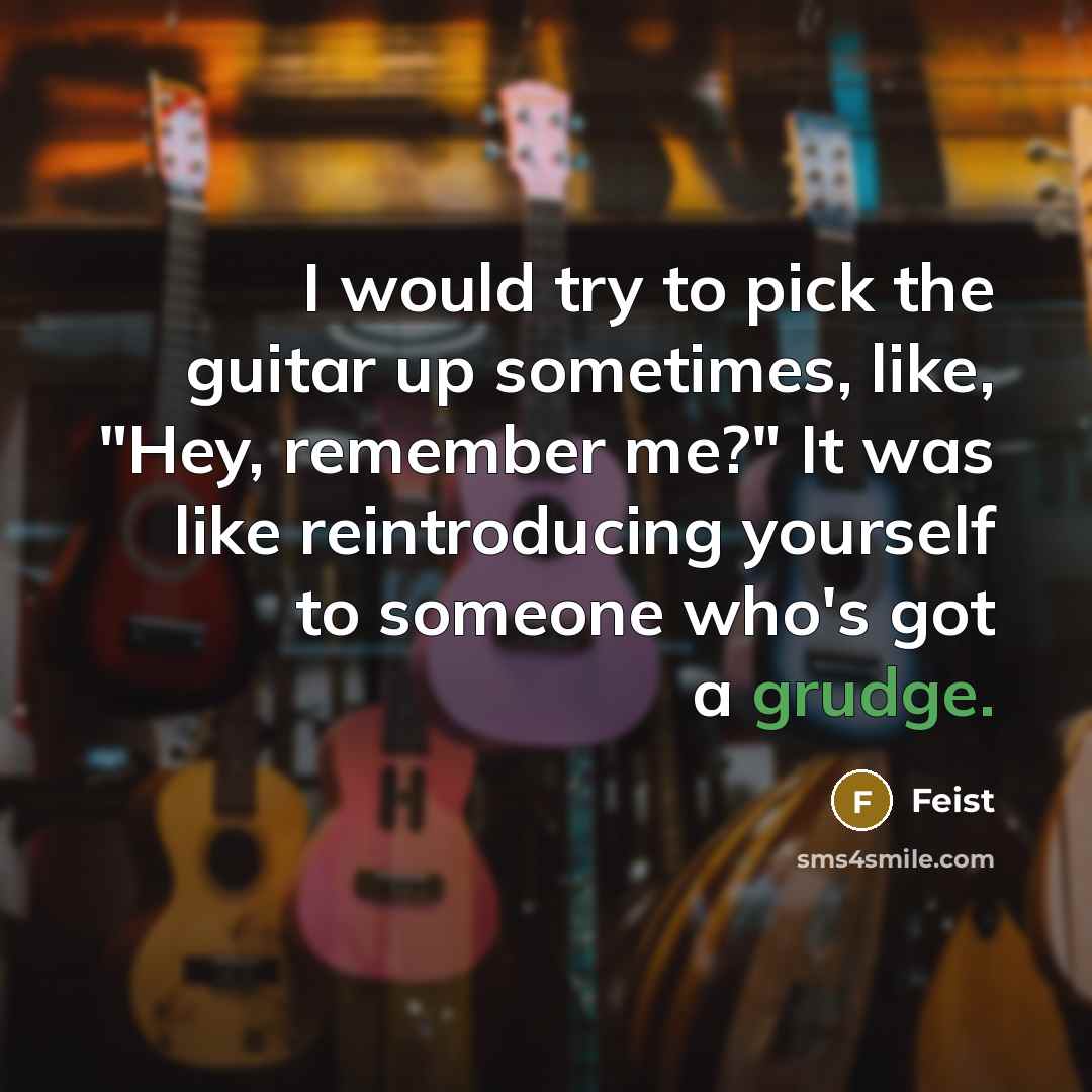“I would try to pick the guitar up sometimes, like,…” quote by Feist