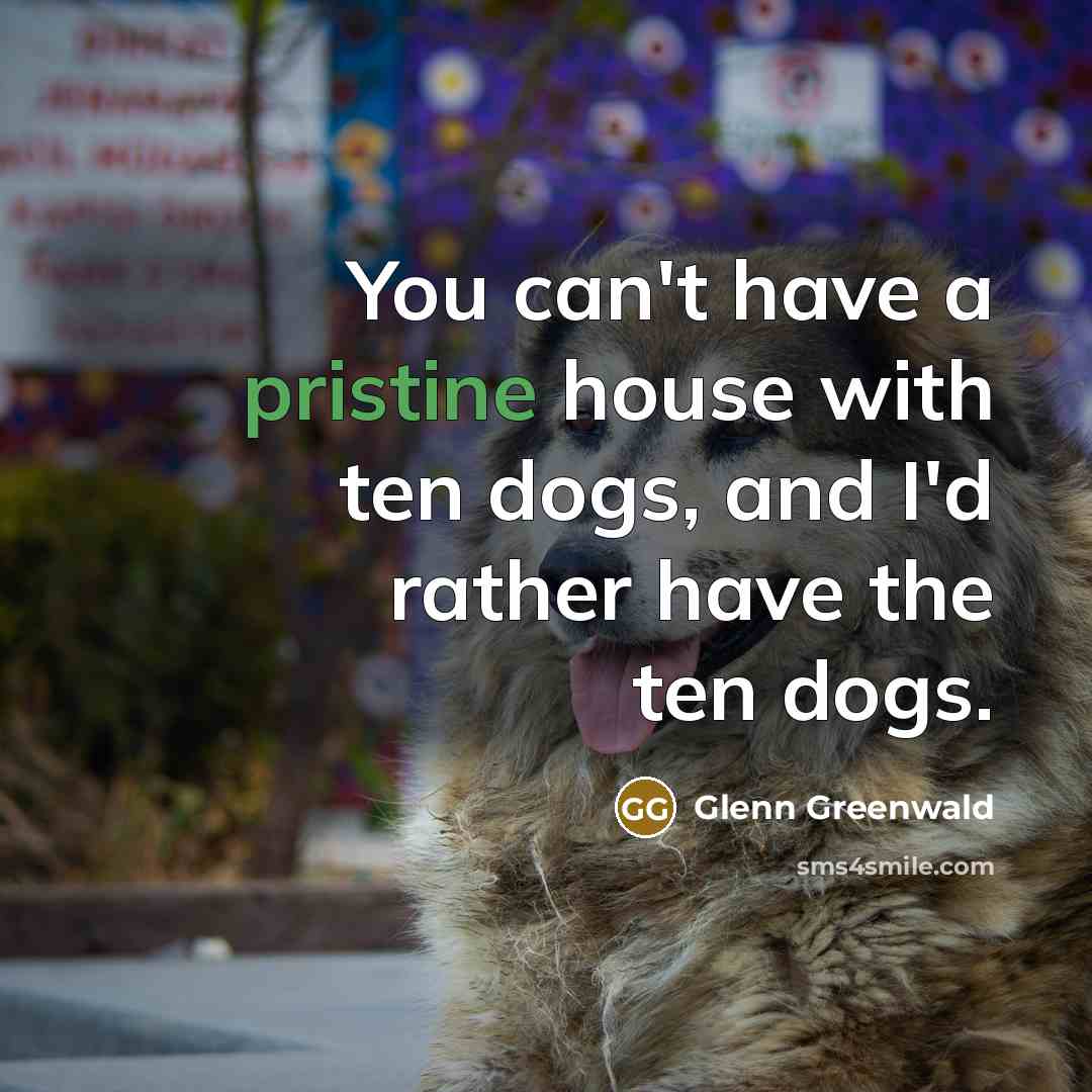 “You can't have a pristine house with ten dogs, and…” quote by Glenn Greenwald