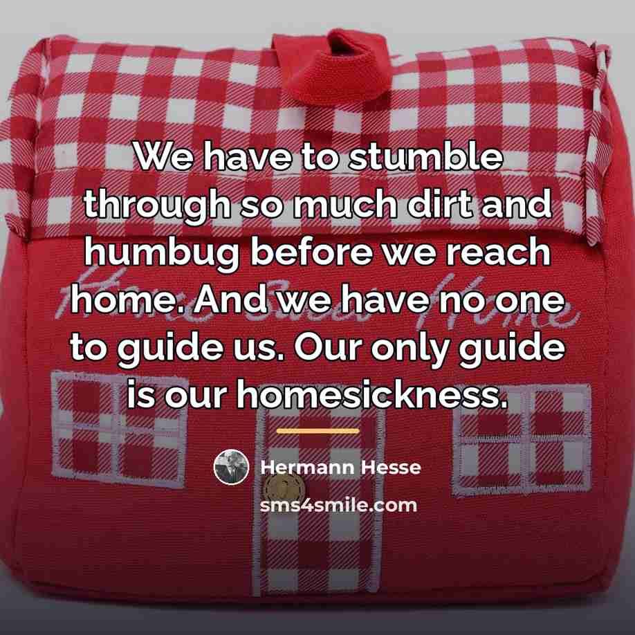 “We have to stumble through so much dirt and humbug…” quote by Hermann Hesse