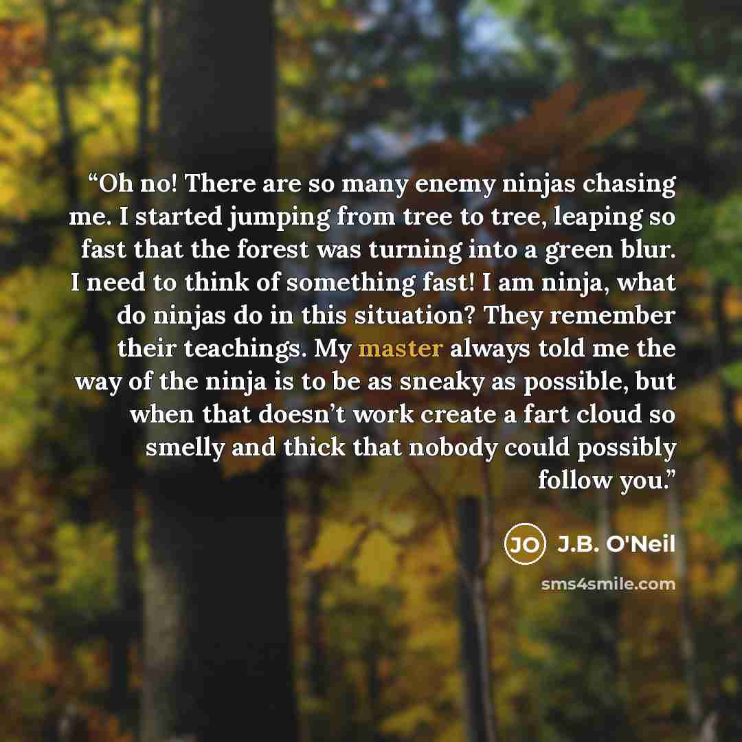 “Oh no! There are so many enemy ninjas chasing me. I started jumping from tree to tree, leaping so fast that the forest was turning into a green blur. I need to think of something fast! I am ninja, what do ninjas do in this situation? They remember their teachings. My master always told me the way…” quote by J.B. O'Neil