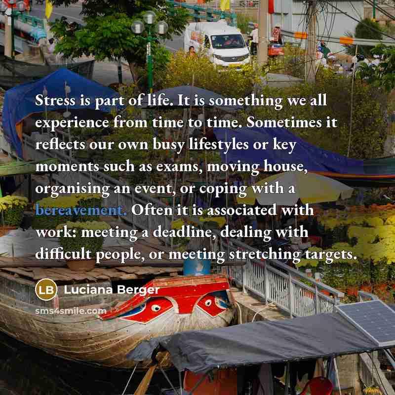 “Stress is part of life. It is something we all…” quote by Luciana Berger