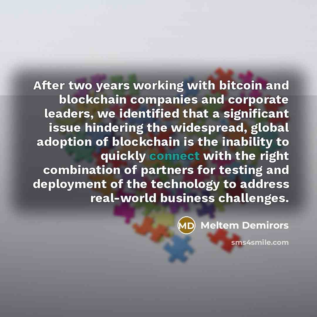 “After two years working with bitcoin and blockchain companies and…” quote by Meltem Demirors