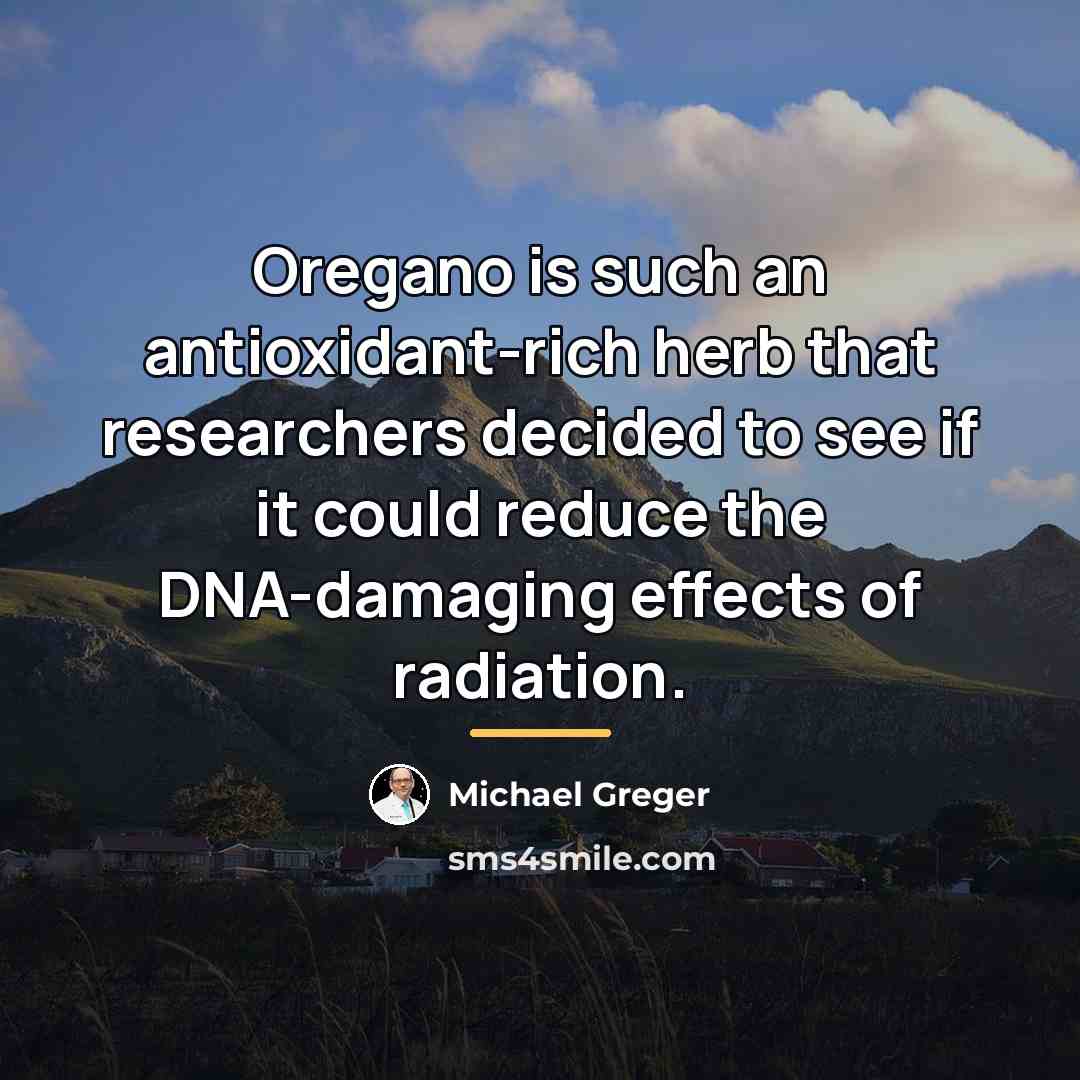“Oregano is such an antioxidant-rich herb that researchers decided to…” quote by Michael Greger