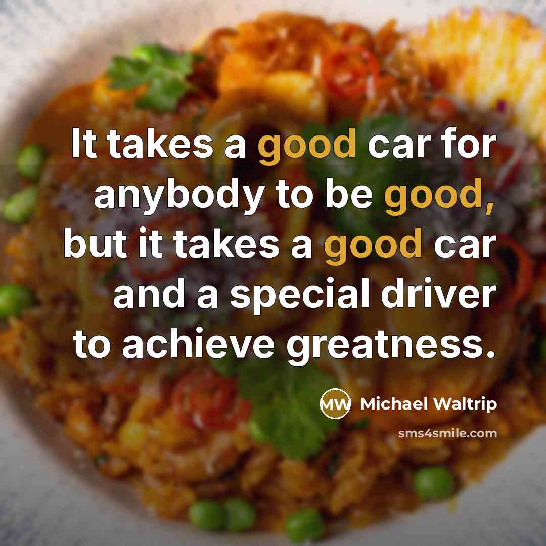 “It takes a good car for anybody to be good,…” quote by Michael Waltrip