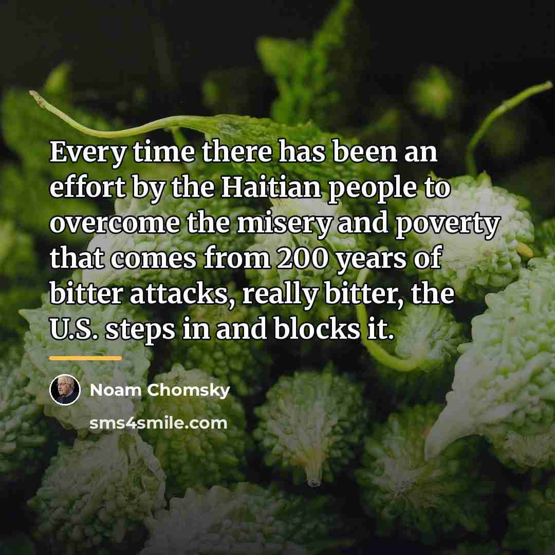 “Every time there has been an effort by the Haitian…” quote by Noam Chomsky