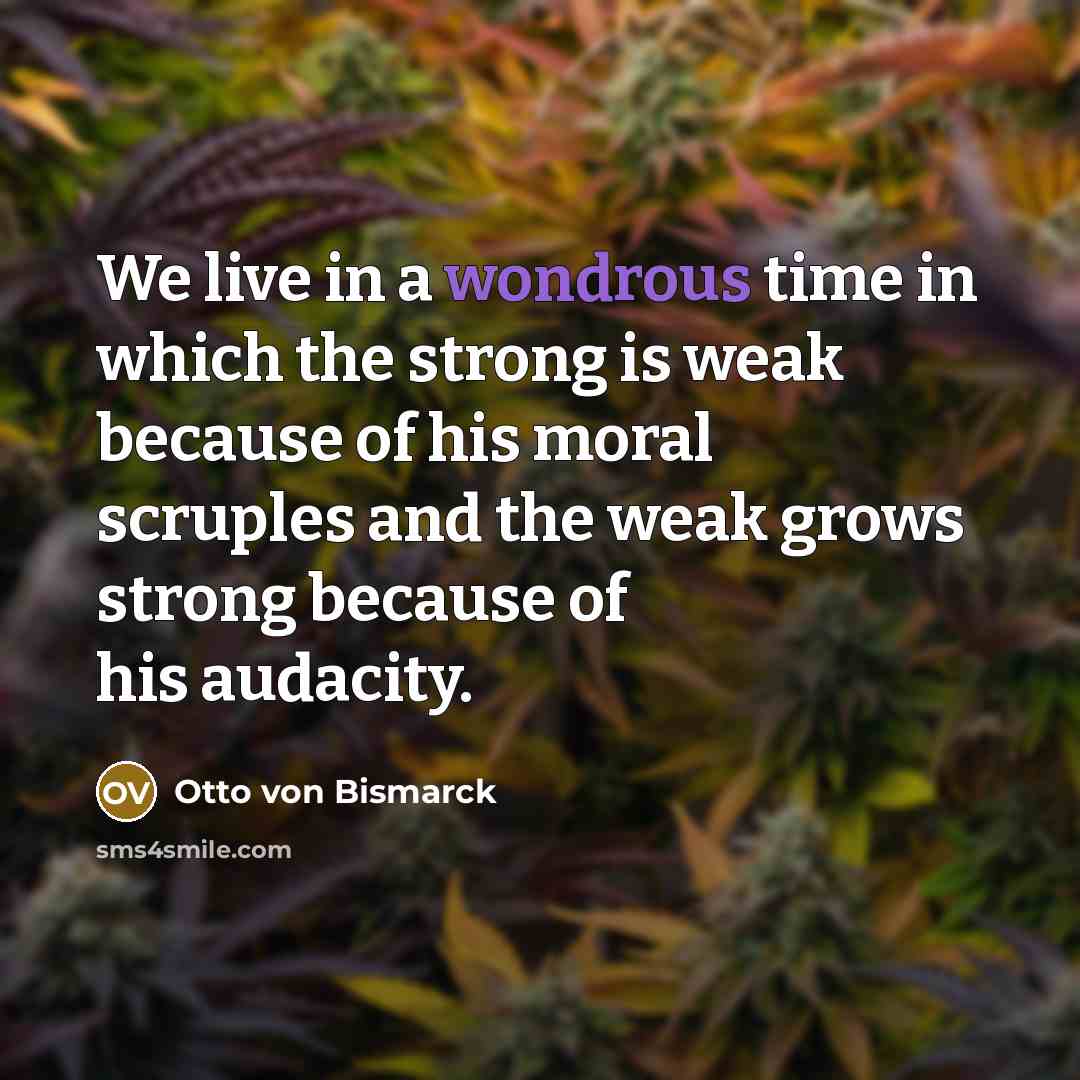“We live in a wondrous time in which the strong…” quote by Otto von Bismarck