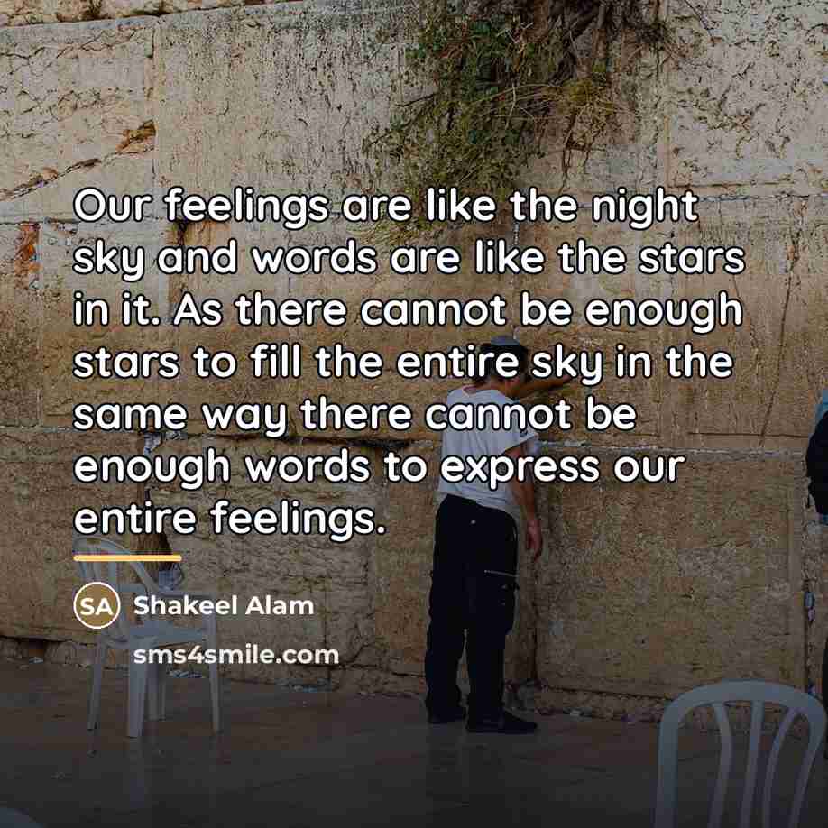 “Our feelings are like the night sky and words are…” quote by Shakeel Alam