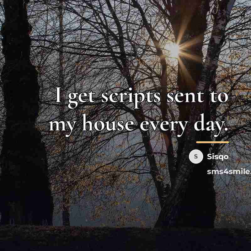 “I get scripts sent to my house every day.…” quote by Sisqo
