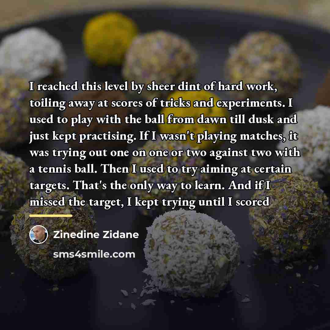 “I reached this level by sheer dint of hard work,…” quote by Zinedine Zidane