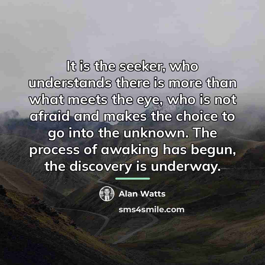 “It is the seeker, who understands there is more than…” quote by Alan Watts