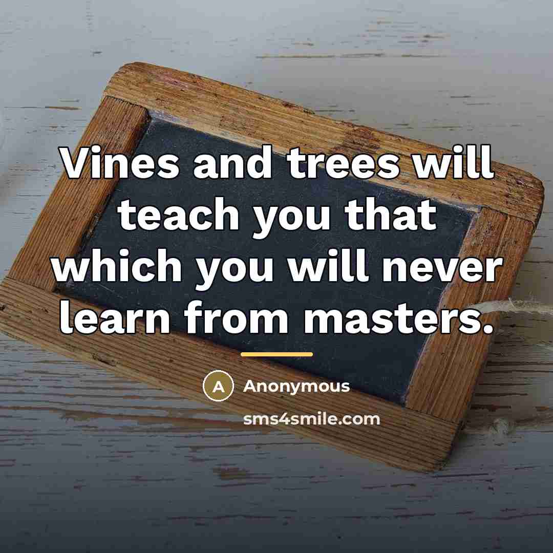 “Vines and trees will teach you that which you will…” quote by Anonymous