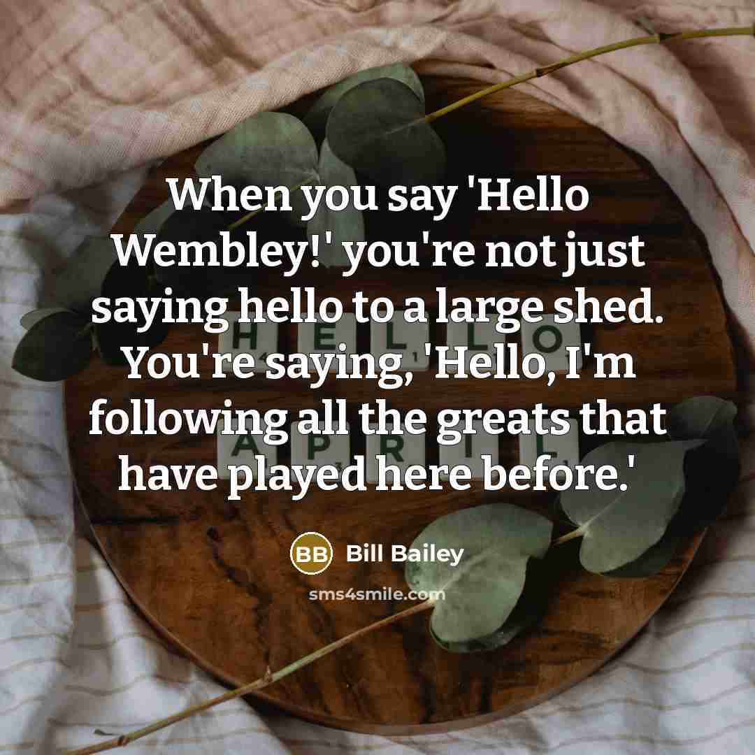 “When you say 'Hello Wembley!' you're not just saying hello…” quote by Bill Bailey